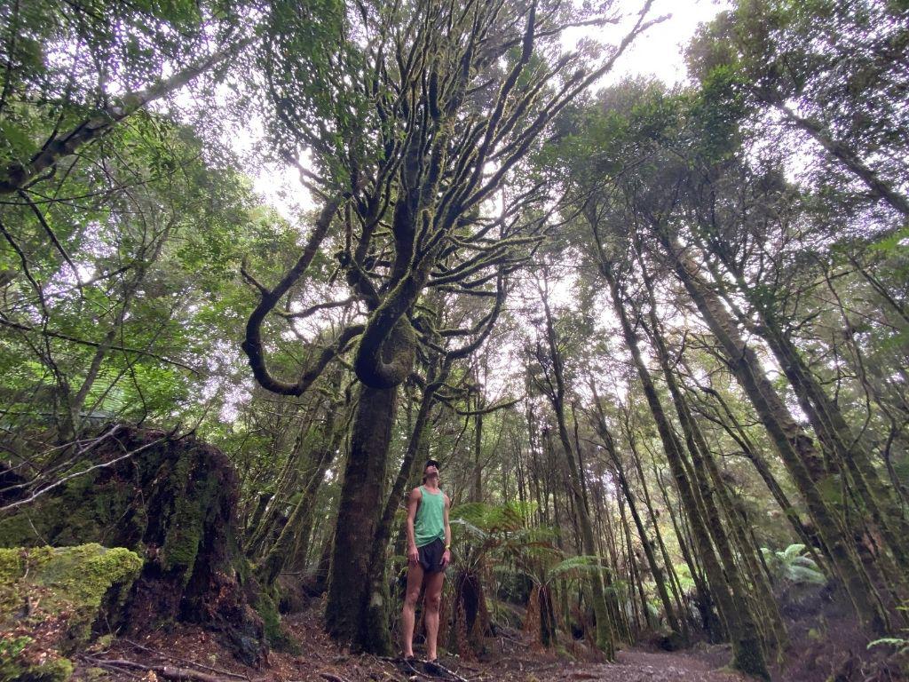 1% Donated to Save the Tarkine