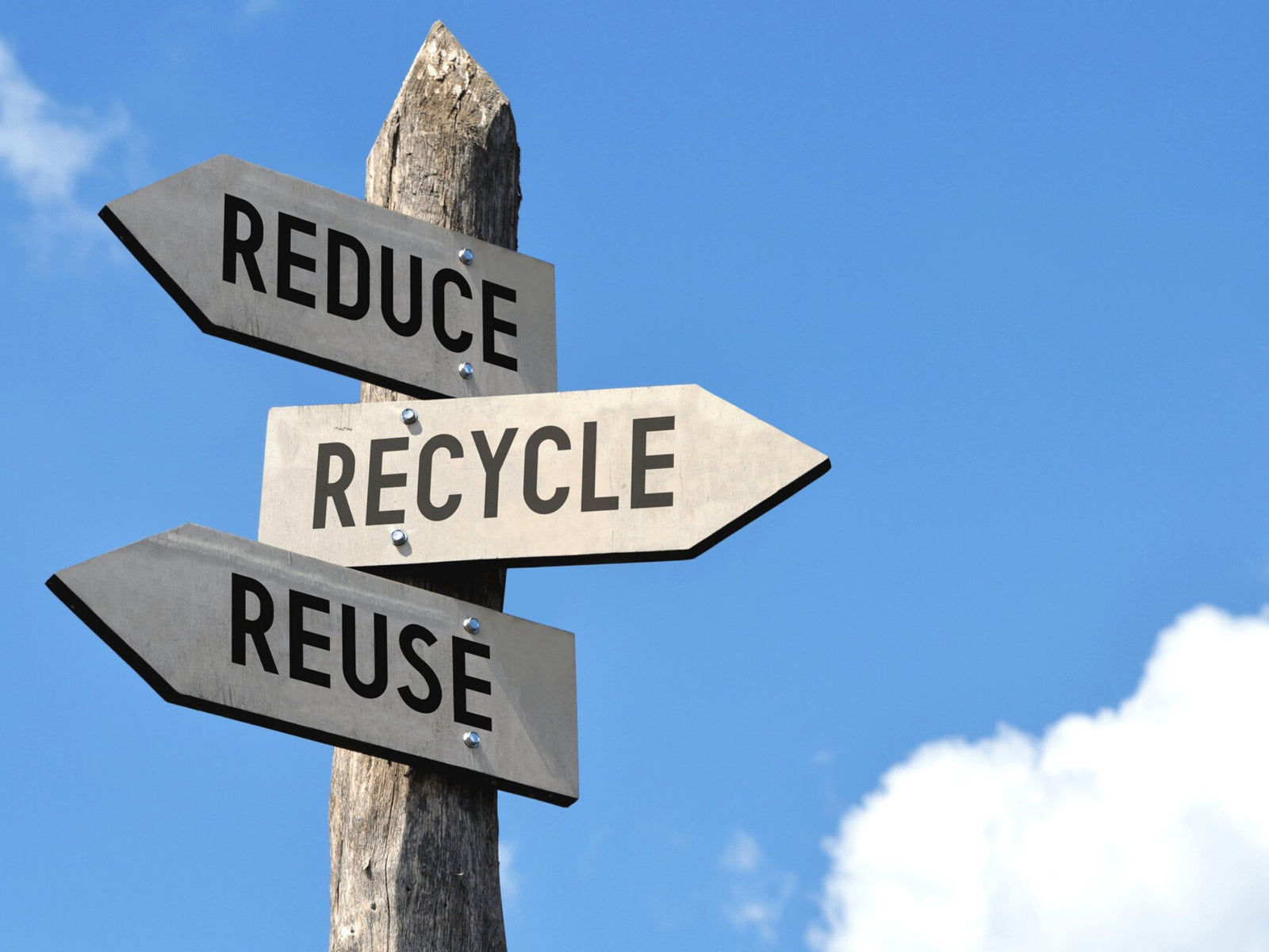 Global Recycled Standard (GRS) - TARKINE ATHLETICS