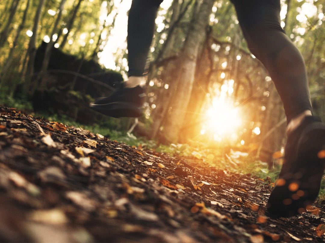 Takayna/Tarkine Ultra – Run to Save Wild Places