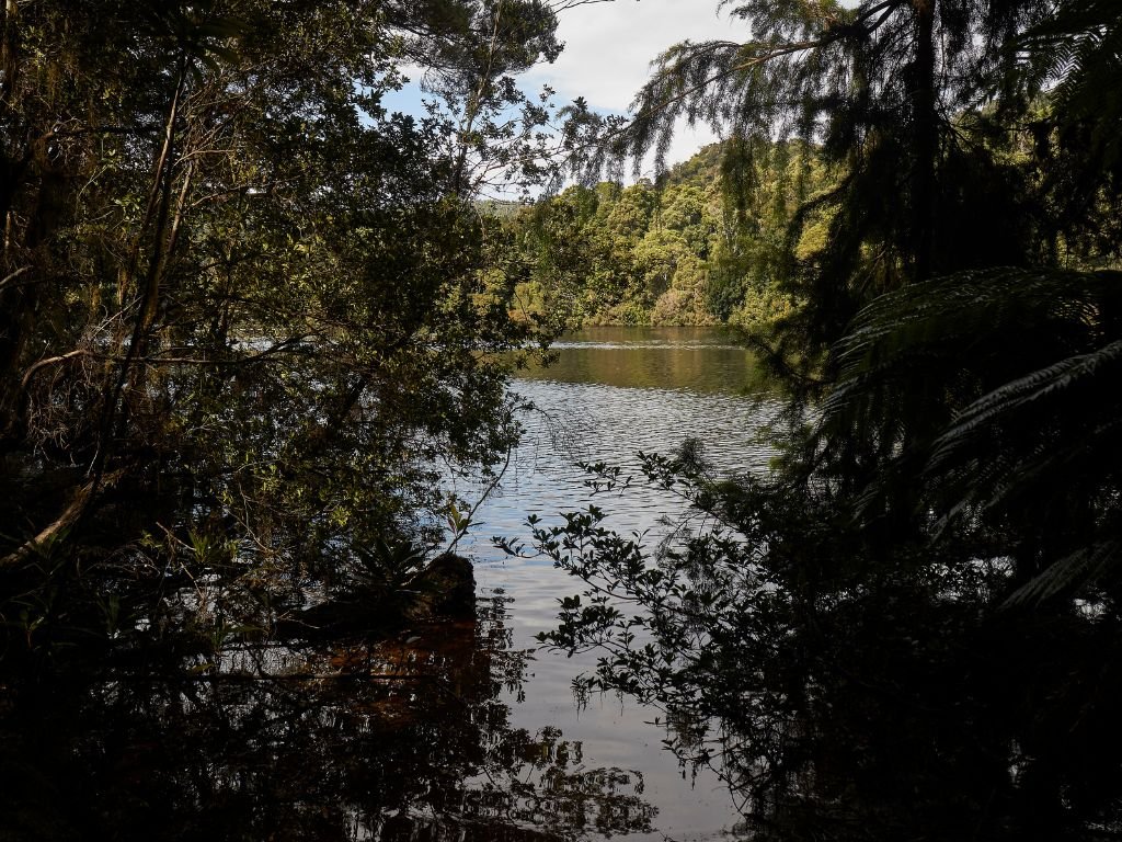 Climate Commitment - TARKINE ATHLETICS