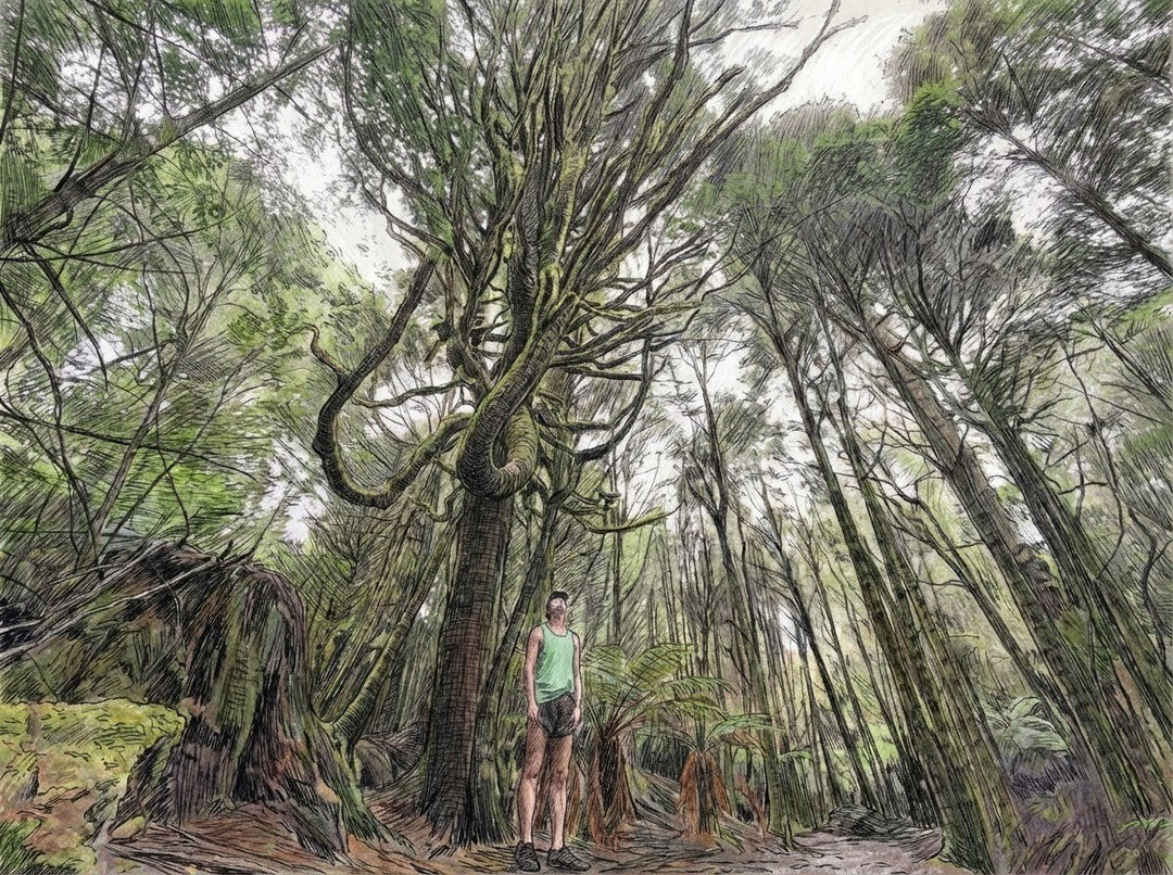 1% Donated to Save the Tarkine