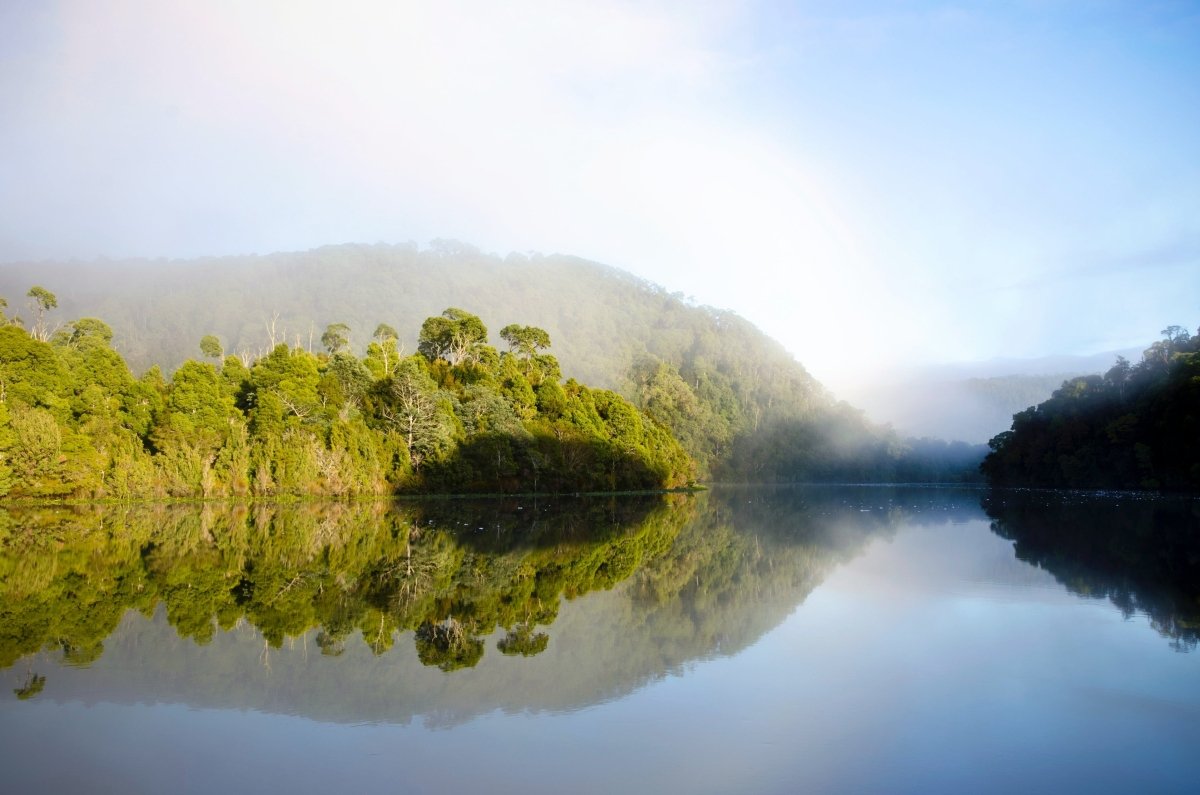 Trailer: Takayna — the Heart of Lutruwita - TARKINE ATHLETICS