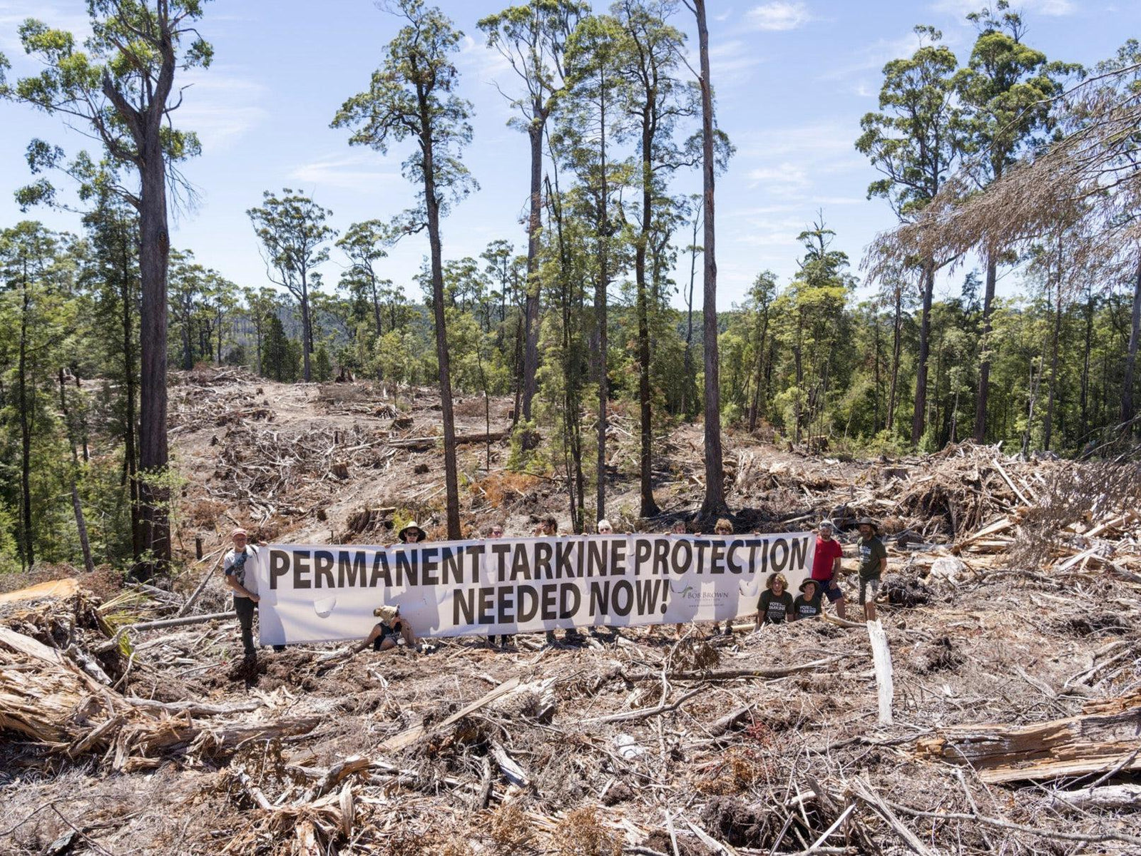 Bob Brown Foundation activist crowdfunds to pay off protest fines - TARKINE RUNNING