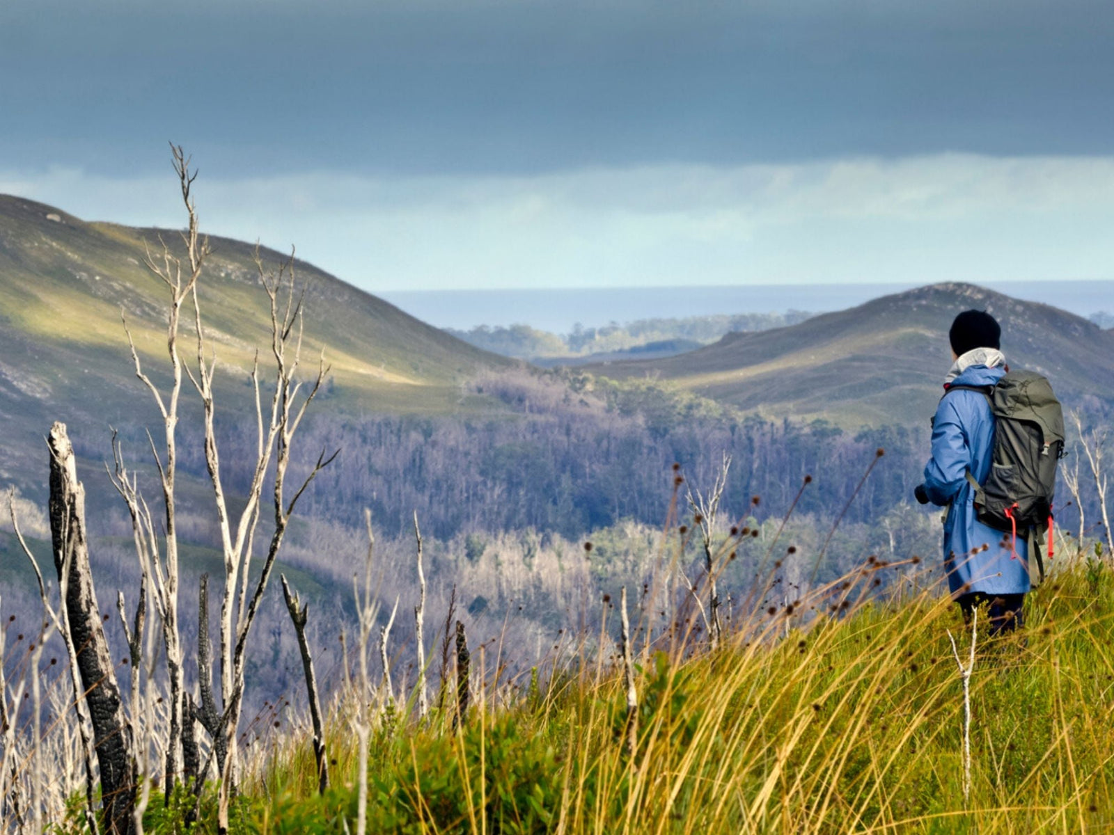 Our Mission - TARKINE RUNNING