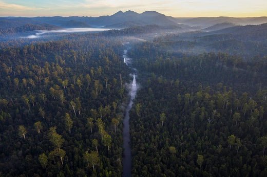 WATCH | From AFL Trauma to Running Legend: The Brendan Verrier Story | How Running Saved My Life - TARKINE ATHLETICS