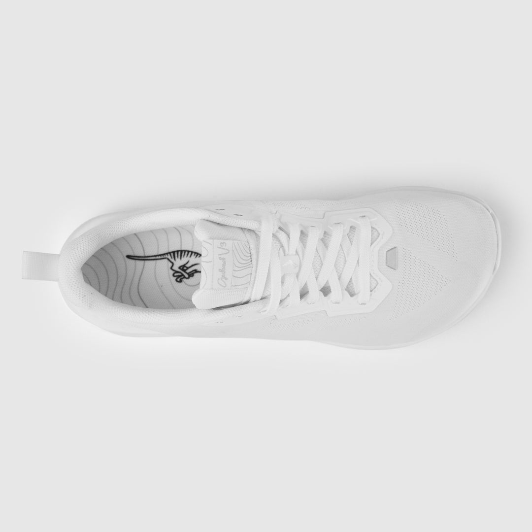 Men's Tarkine Goshawk V3 - OG Eco High Mileage Trainer Returns